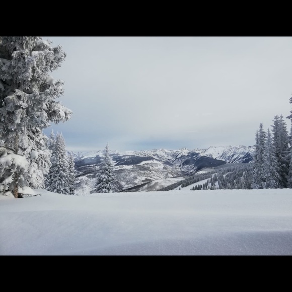 Profile Picture of Roxanne Lowe (@roxylowe) on Poshmark