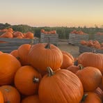 Profile Picture of Mark Vandenberghe (@Mark-Vandenberghe) on Facebook