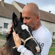 Profile Picture of Daniel Sobek (@TheDandy1979) on Youtube