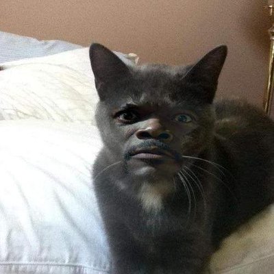 Profile Picture of Marcin Jankowski (@pearljam46) on Twitter