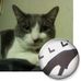 Profile Picture of Arnold Bennett (@arnold.bennett.564) on Facebook