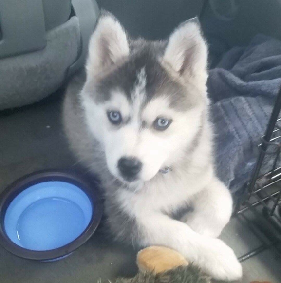 Profile Picture of Chris Kinney (@ckinney7512) on Poshmark