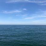 Profile Picture of Paul (@uplicata) on Instagram