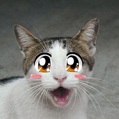 Profile Picture of Jackie Sparrow (@Jackie_Chan021) on Twitter