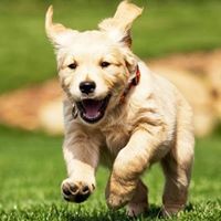 Carl Peralta - Quora Profile Picture of Carl Peralta (@carl-peralta-1) on Quora