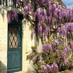 Profile Picture of emilia retter (@emiliaretter) on Instagram