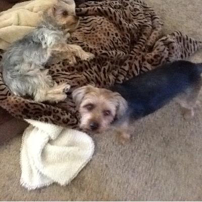 Profile Picture of Bill Owsley (@owsley_bill) on Twitter