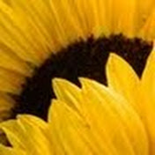 Profile Picture of Crystal Kelly (@crystalkelly9310) on Youtube