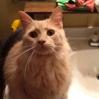 Luci Haskins - Facebook Profile Picture of Luci Haskins (@Luci-Haskins) on Facebook