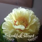 Profile Picture of WandaDavid Bateman (@wanda.bateman.587) on Facebook