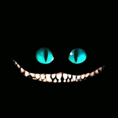 Profile Picture of Rosa Gonzaga (@RosaGonzaga12) on Twitter