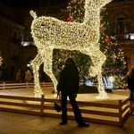 Profile Picture of Nicole Formisano (@nicole.formi.sp) on Instagram