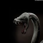 Profile Picture of Thomas Damore (@damo_bxng) on Instagram