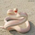 daniel cruz brn - Instagram Profile Picture of daniel cruz brn (@daniel_cruz_benigno) on Instagram