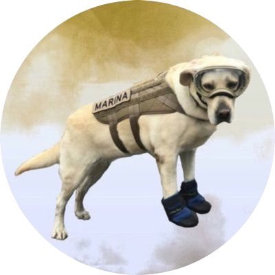 Profile Picture of Teresa Morales (@tere5morales) on Twitter