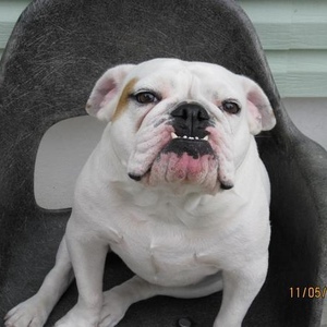 Profile Picture of Brad Valentin (@216622022) on Myspace