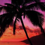 Profile Picture of Michael (@michael.krolczyk) on Instagram