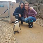 Profile Picture of Andrew Kenward (@akenward91) on Instagram