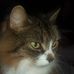 Profile Picture of Phillip Filkins (@phillip.filkins.792) on Facebook