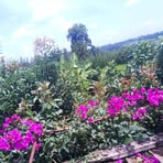 Profile Picture of Robin Kiprop (@Robin-Kiprop) on Facebook