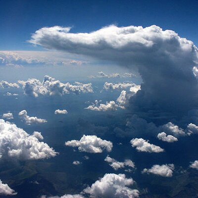 Profile Picture of Andrew Spiegel (@gator_rx) on Twitter