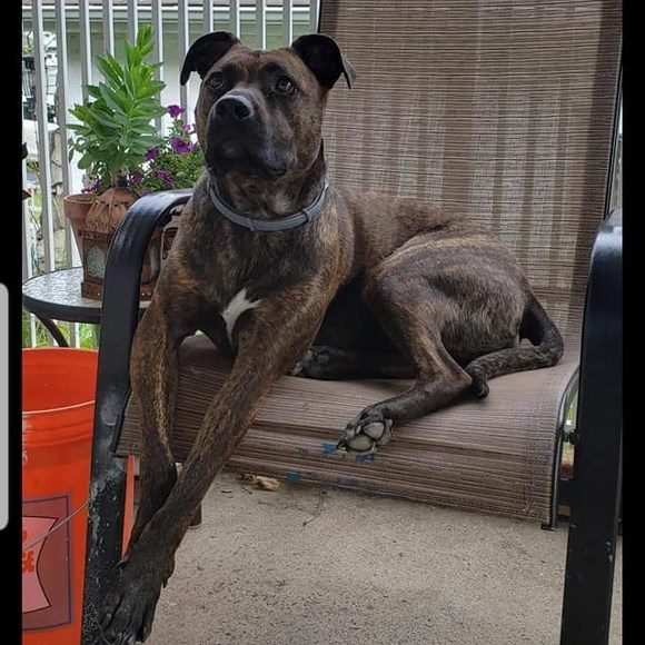 Profile Picture of Roseanne Kuttner (@akeara01) on Poshmark