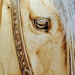 Profile Picture of Allison Archer (@patriot_custom_shop) on Instagram