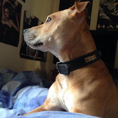 Profile Picture of Brian Mellon (@BrianMellon99) on Twitter