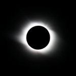 Brian Roden - Instagram Profile Picture of Brian Roden (@roden_brian) on Instagram