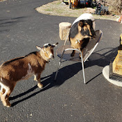 Kevin Eugene - Youtube Profile Picture of Kevin Eugene (@kevineugene5989) on Youtube