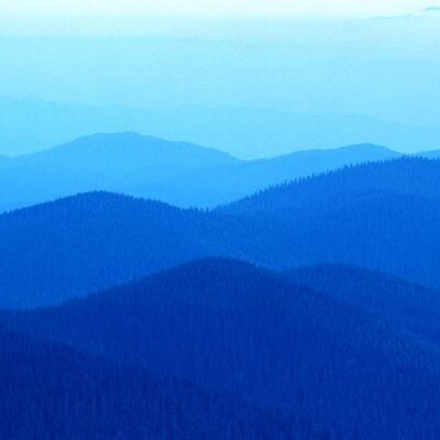 Profile Picture of Albert Murphy (@murphy_albert) on Twitter