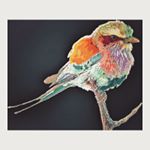 Profile Picture of Vincent Jung (@returnofthejbird) on Instagram