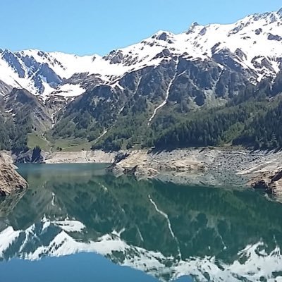 Profile Picture of Peter Weinberger (@peterweinberge6) on Twitter