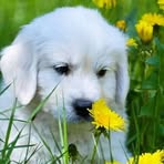 Profile Picture of Allen Na (@Allen-Na) on Facebook