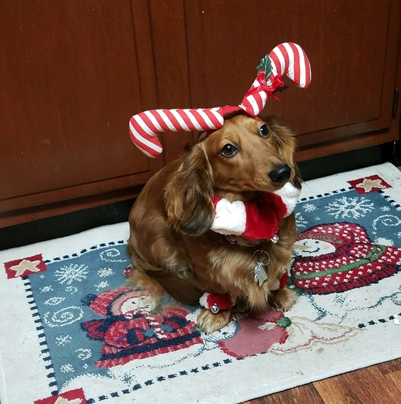 Profile Picture of Edward Hoover (@edhoover) on Poshmark