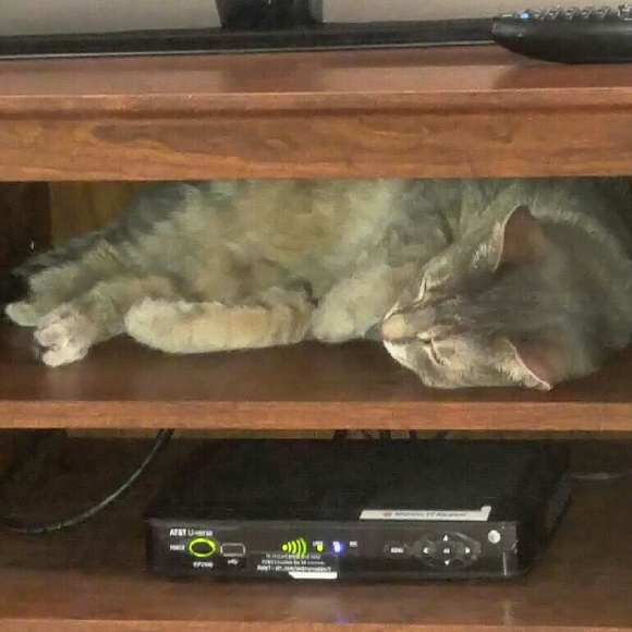 Profile Picture of Mary Milawski (@maryesther60) on Poshmark