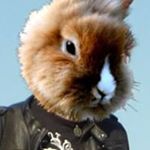 Profile Picture of Tony Kraus (@kraus1013) on Instagram