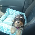 Profile Picture of Clarence Bostick (@Clarence-Bostick) on Facebook