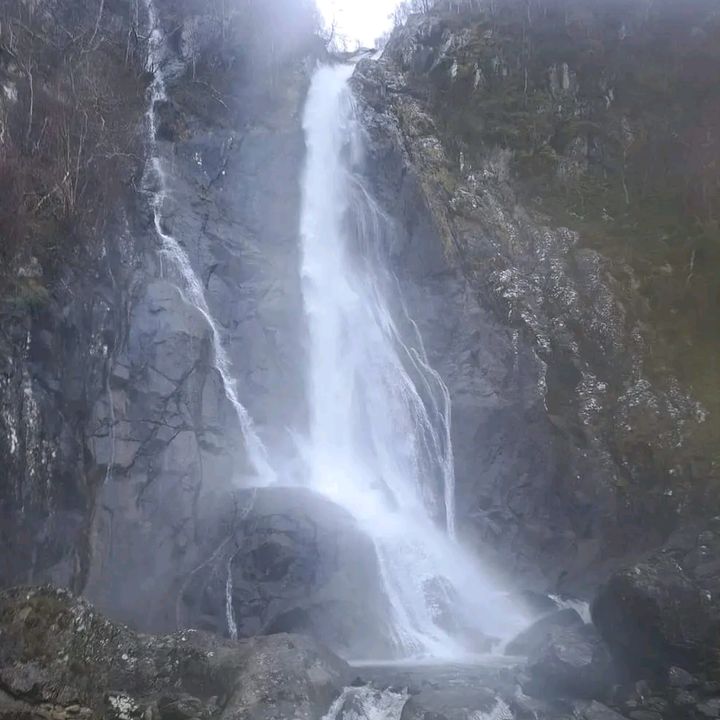 Profile Picture of george (@georgemayers189) on Tiktok