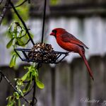 Skyler Snyder - Instagram Profile Picture of Skyler Snyder (@shutter_up14) on Instagram