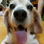 Profile Picture of Jason Hsiao (@jasonhsiao123) on Instagram