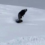Profile Picture of Jason Rigby (@stonyboater1) on Instagram