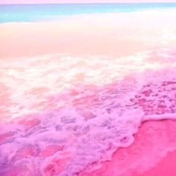 Profile Picture of Bianca Palacios (@BiancaP19794466) on Twitter