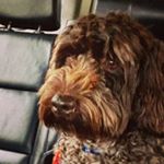 Profile Picture of Alex Craig (@alex_crazy_0505) on Instagram