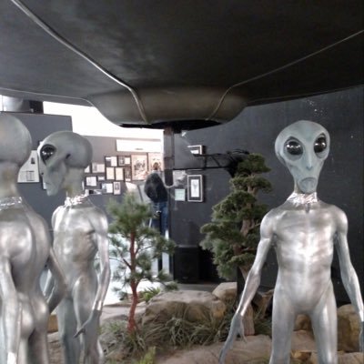 Profile Picture of Donna Walsh (@DonnaSilverFox) on Twitter