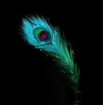 Profile Picture of Abhijeet Jain (@abhijeet.jain.1610) on Facebook