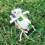 Mouselet Fleur DeSouris - Instagram Profile Picture of Mouselet Fleur DeSouris (@mouseletfleurde) on Instagram