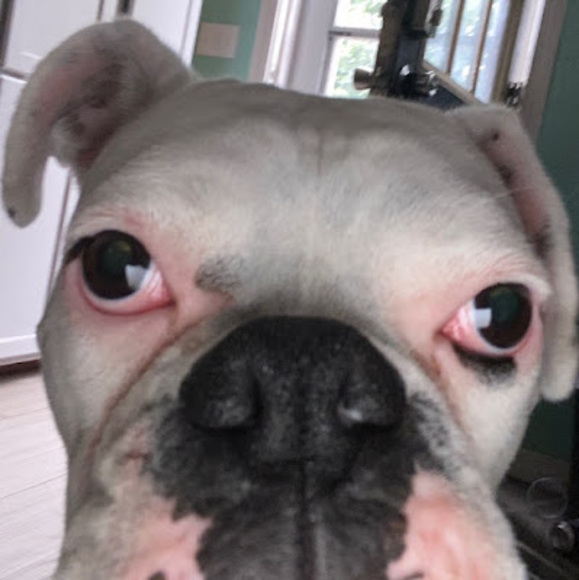 Profile Picture of Barbara Gregor (@barbaragregor) on Poshmark