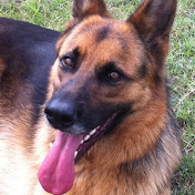 Profile Picture of Michael Frew (@frewus) on Youtube