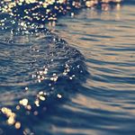 Profile Picture of ivy_carson2327 (@ivy_carson2327) on Instagram